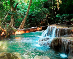 Top 10 Interesting Facts about Rainforest