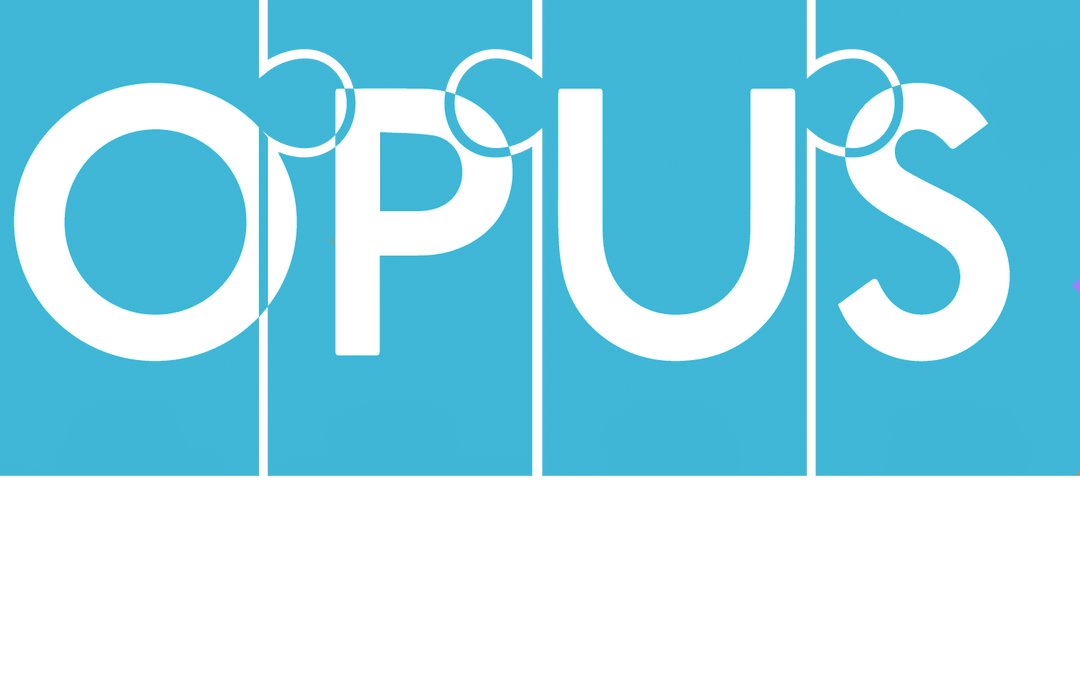 Opus Consulting: Leadership In Payment Processing Solutions